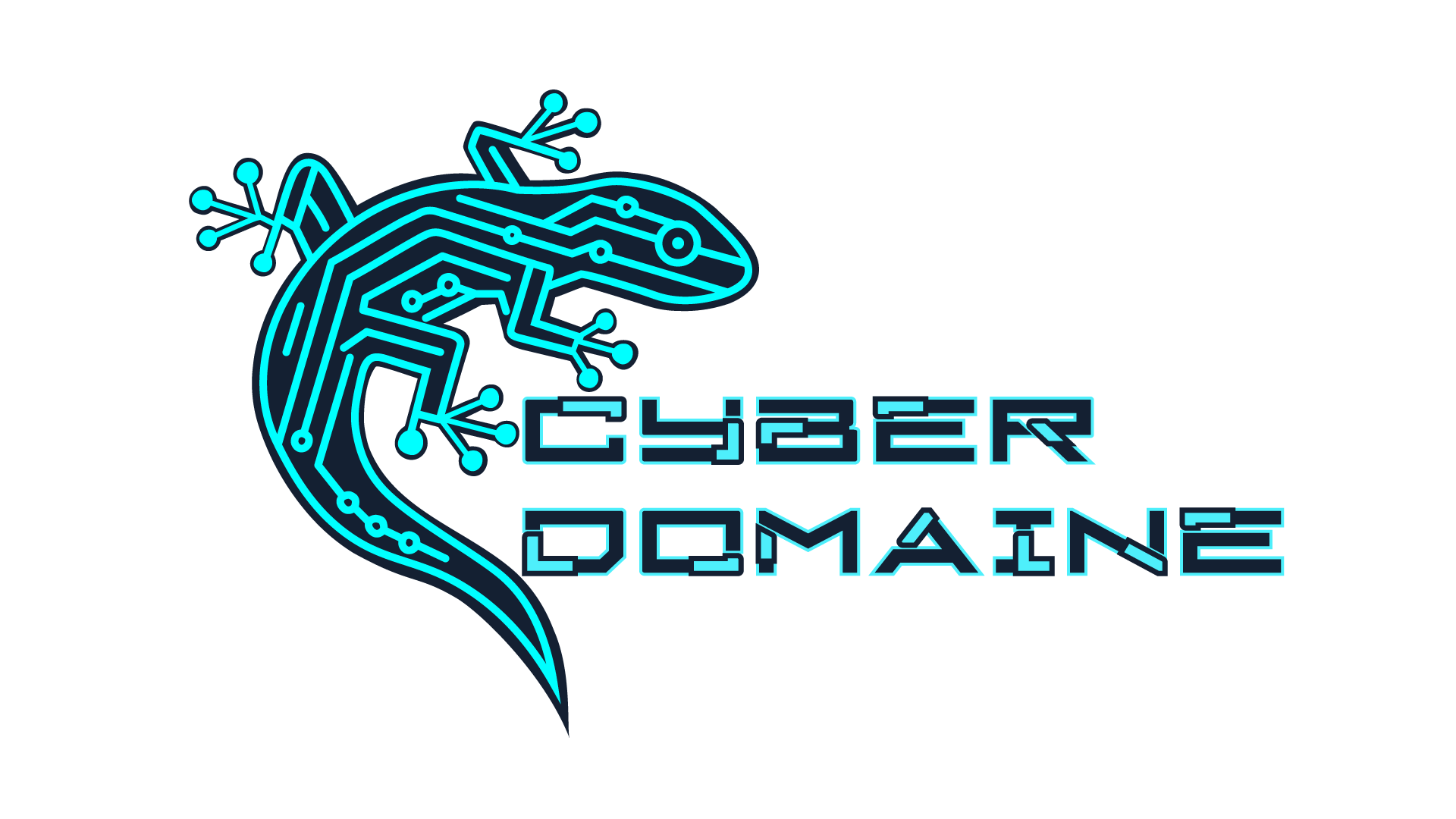 logo CYBER DOMAINE